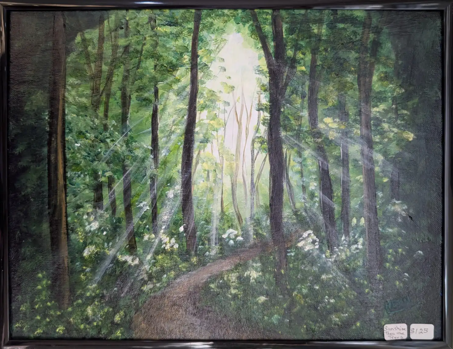 Sunshine Through the Trees